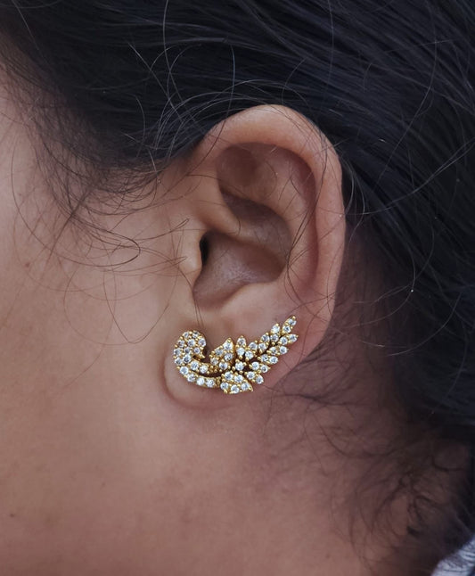 Ear cuffs