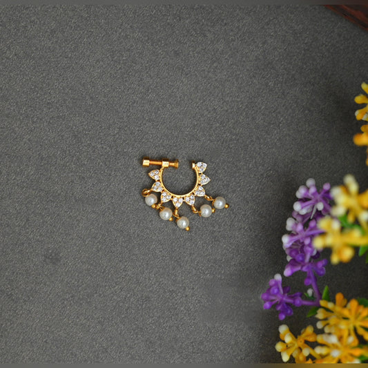 Nose Pin Collections-TE2010